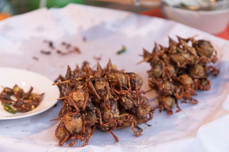 Én ngâm ở Lào, những con chim nhỏ được bẫy sau đó được đặt trong những chiếc chum khổng lồ để lên men. Chim sau đó được chiên và ăn nguyên con (trừ lông).