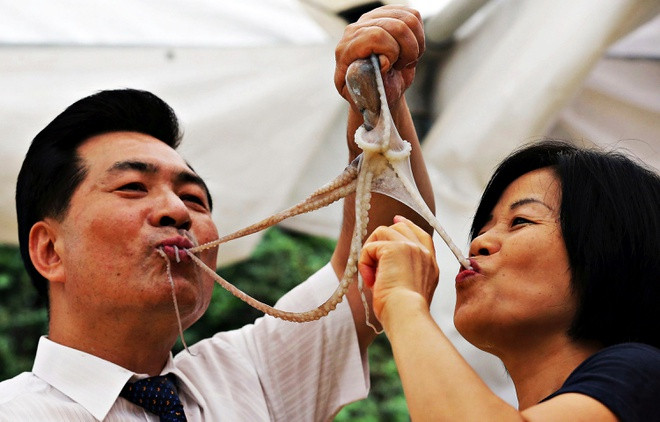 Khách hàng gặp chút khó khăn khi ăn vì những chú bạch tuộc trơn nhẫy, chưa kể xúc tu của chúng có thể bám vào cổ họng, gây nghẹt đường thở.