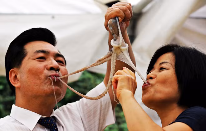 Khách hàng gặp chút khó khăn khi ăn vì những chú bạch tuộc trơn nhẫy, chưa kể xúc tu của chúng có thể bám vào cổ họng, gây nghẹt đường thở.