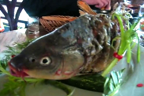 Khi ở trên bàn tiệc, đầu cá vẫn có thể ngáp ngáp khiến không ít người kinh hãi.