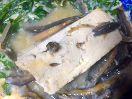 Kết quả chúng sẽ giãy giụa vì đau đớn cho đến chết mắc kẹt giữa những miếng đậu.