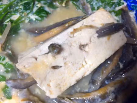 Kết quả chúng sẽ giãy giụa vì đau đớn cho đến chết mắc kẹt giữa những miếng đậu.