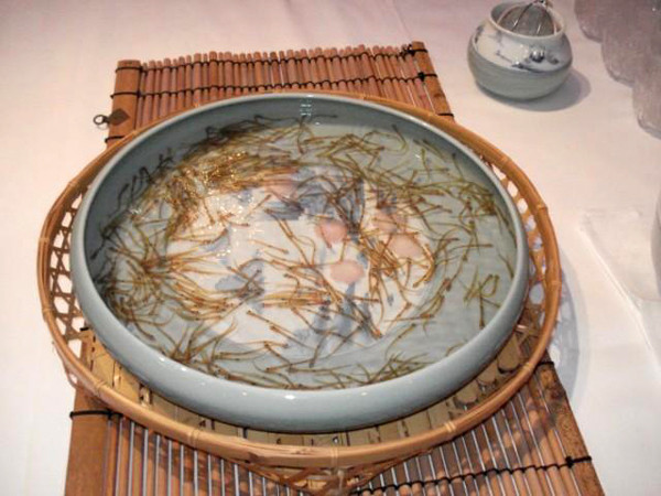 Cá nhảy múa là món ăn truyền thống ở Nhật Bản.