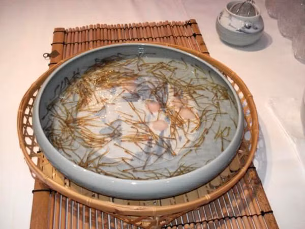 Cá nhảy múa là món ăn truyền thống ở Nhật Bản.