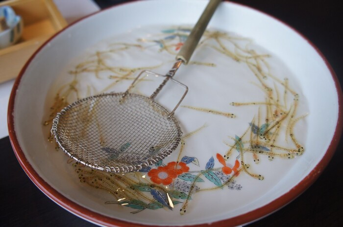 Những chú cá non trong suốt sẽ được vớt lên ăn sống với nước tương.