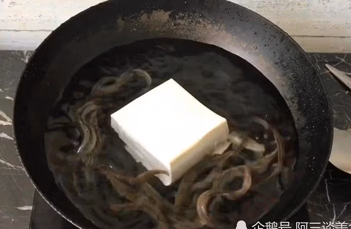 Ban đầu đàn cá chạch tung tăng bơi lội giữa miếng đậu phụ như không có chuyện gì xảy ra.