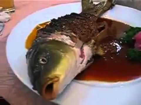 Cũng giống như món ếch sống, cá sống sẽ được tẩm ướt, mổ ruột trong khi vẫn còn sống.