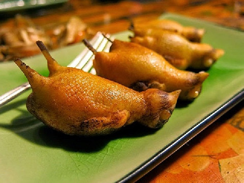 Đó chính là cách ăn truyền thống của món chim họa mi nướng ở Pháp. Nhìn những chú chim béo múp ít ai biết, các chú chim đã bị đối xử tàn nhẫn ra sao trước khi bị đem nướng.