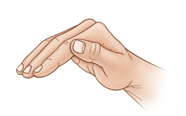 Thứ nhất, khi nam giới vòng tay ôm bạn gái, tư thế bàn tay khiến anh ấy cảm thấy thoải mái nhất là hình vòng cung. Điều trùng hợp là hình vòng cung tự nhiên này lại rất tương xứng với đường cong vòng 1.