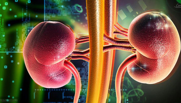 Mặt khác, nhịn tiểu khiến thận và niệu quản phải chịu áp lực lớn để giữ nước tiểu trong người. Ngoài hại thận, nhịn tiểu quá lâu khiến bàng quang phải chứa lượng nước lớn, làm tăng áp suất nước tiểu khiến hoạt động sinh hoạt trở nên khó khăn hơn.