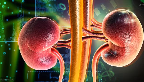 Mặt khác, nhịn tiểu khiến thận và niệu quản phải chịu áp lực lớn để giữ nước tiểu trong người. Ngoài hại thận, nhịn tiểu quá lâu khiến bàng quang phải chứa lượng nước lớn, làm tăng áp suất nước tiểu khiến hoạt động sinh hoạt trở nên khó khăn hơn.