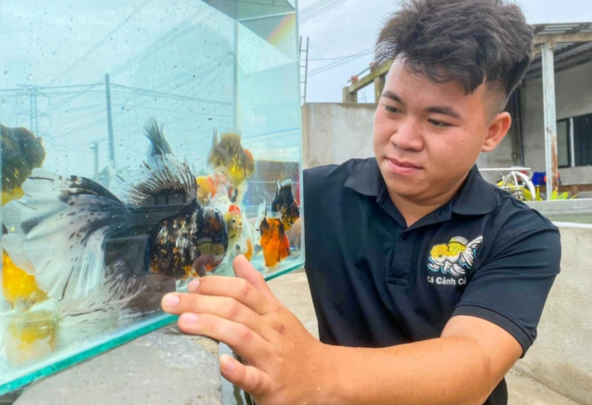 Chang trai 23 tuoi kiem tram trieu moi thang nho nuoi ca vang