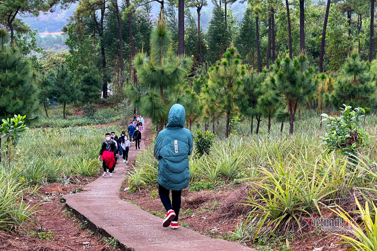 Thời tiết lạnh kèm mưa phùn thêm cả dịch COVID-19 đang rất căng thẳng nhưng nhiều người dân vẫn bất chấp tới chùa Lôi Âm. (Ảnh: Vietnamnet)