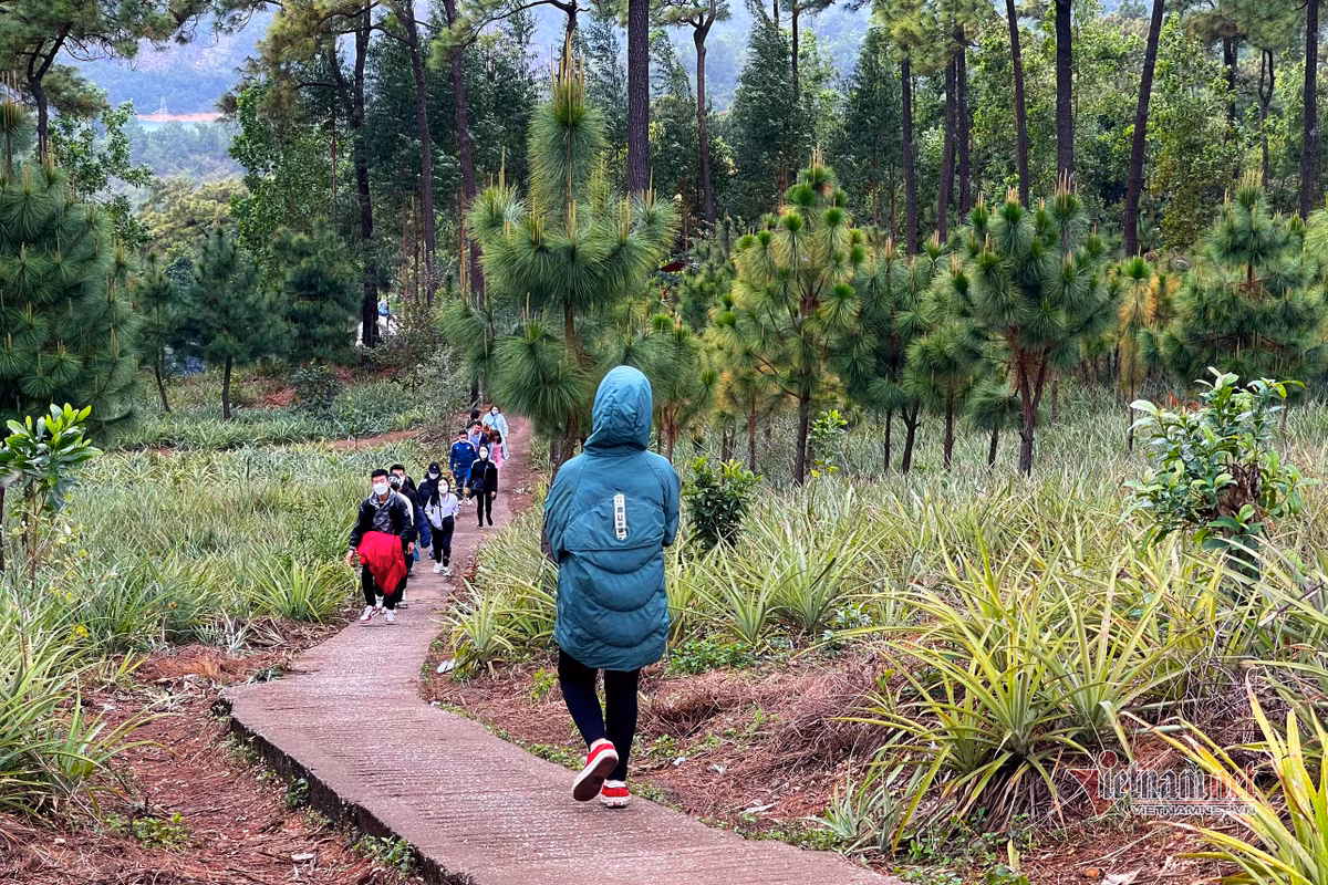 Thời tiết lạnh kèm mưa phùn thêm cả dịch COVID-19 đang rất căng thẳng nhưng nhiều người dân vẫn bất chấp tới chùa Lôi Âm. (Ảnh: Vietnamnet)