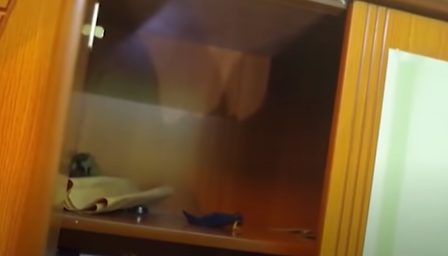 Sau đó, Hậu lục lọi lấy được 200 triệu đồng, 2 nhẫn vàng, 1 sợi dây chuyền vàng rồi dùng xe máy của nạn nhân tẩu thoát. Khi đến đường Nguyễn Thị Minh Khai (đoạn gần Trường THPT Trần Phú), Hậu bỏ xe máy lại rồi đi nhờ xe đến khu vực Công viên 29-3.