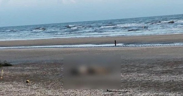  Đi đánh cá phát hiện thi thể người phụ nữ tại bờ biển: Ngày 13/2, UBND xã Xuân Hội (huyện Nghi Xuân, tỉnh Hà Tĩnh) cho biết, chiều 12/2, trong quá trình đi biển đánh cá, ngư dân nơi đây phát hiện thi thể một người phụ nữ. Thi thể người phụ nữ này được xác định là chị N.T.T. (SN 1983, ở thôn Hội Thủy, xã Xuân Hội). Người thân nạn nhân cho biết, chị T. đi khỏi nhà từ 16h chiều ngày 11/2.