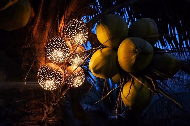 Bóng đèn trang trí làm từ vỏ quả dừa. Ảnh: Dân Việt