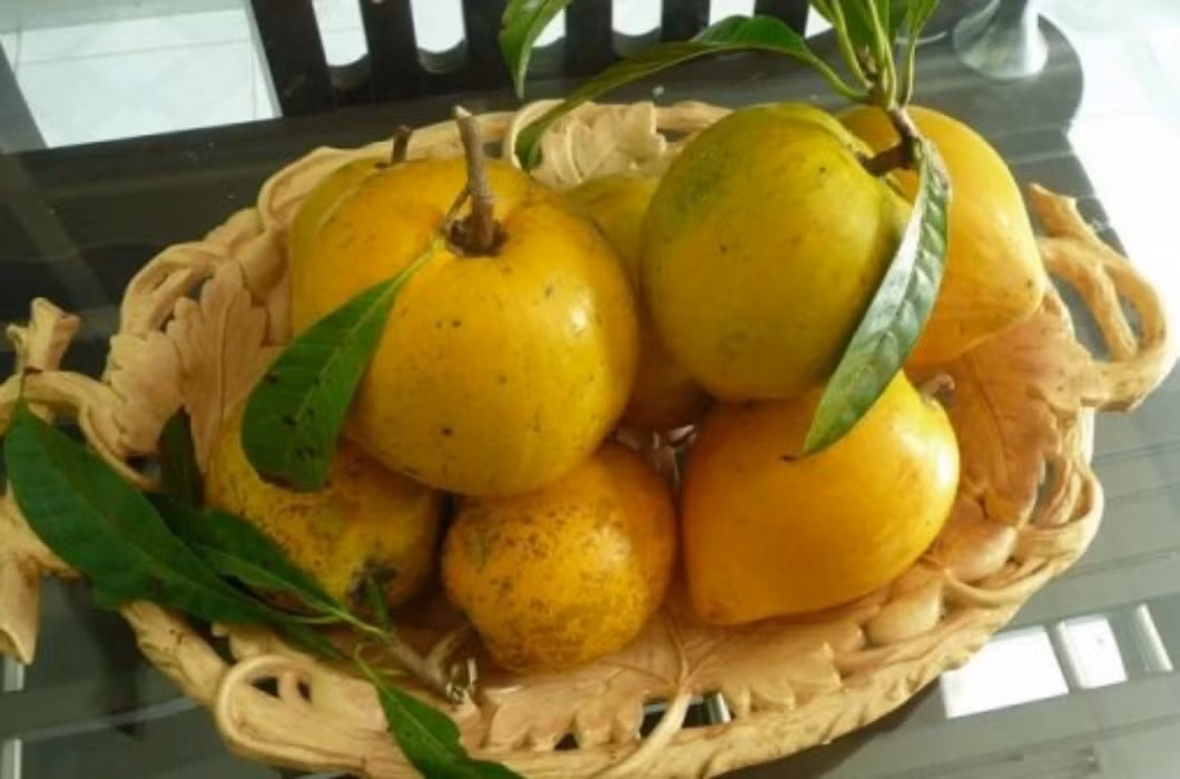 Tuy nhiên, lê ki ma được rao bán trên trang mua bán trực tuyến Amazon dưới dạng bột, đóng gói 227g với giá 15 USD (tương đương hơn 1 triệu đồng/kg). Ảnh: Internet