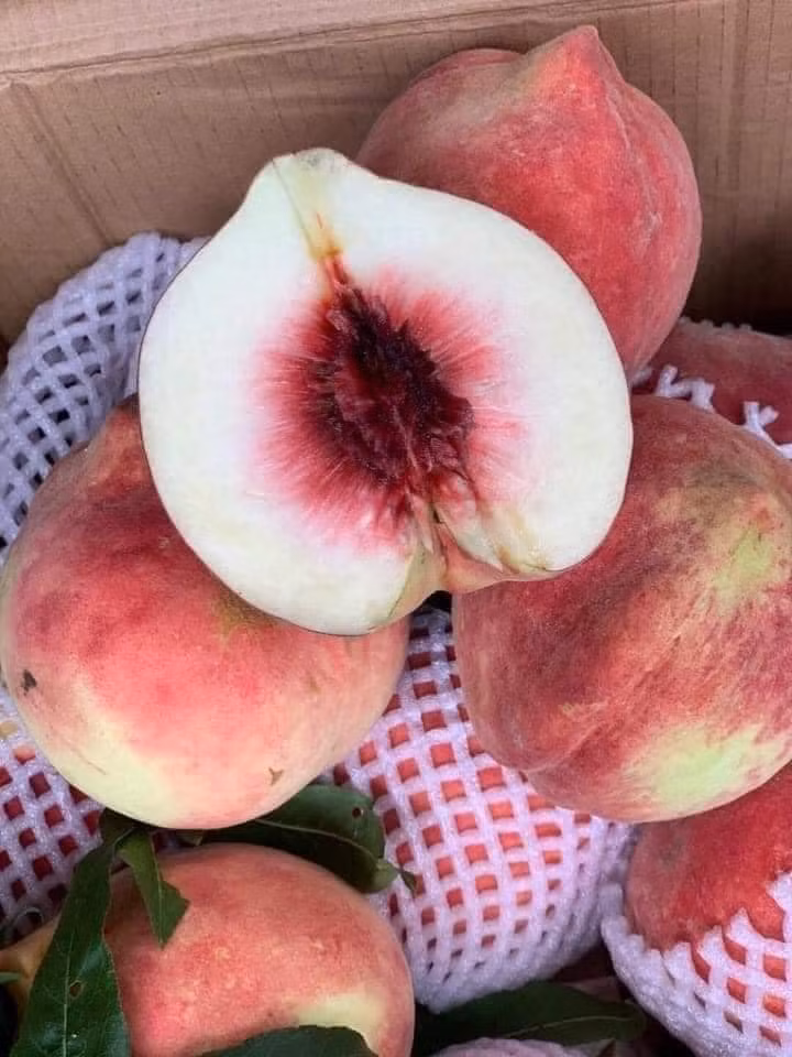 Đào tuyết Lệ Giang được rao bán với giá từ 55.000 - 110.000 đồng/kg, có loại giá lên tới 170.000 đồng/kg. Giá cao hơn nhiều so với các loại trái cây có xuất xứ từ Trung Quốc đang bán trên thị trường song đào tuyết Lệ Giang vẫn được nhiều khách hàngd đặt mua.