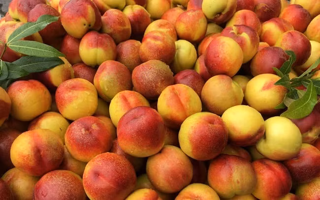 Ngoài đào tuyết Lệ Giang, thị trường Việt còn có loại đào trơn bóng bẩy với giá từ cực rẻ, chỉ từ 10.000-20.000 đồng/kg.