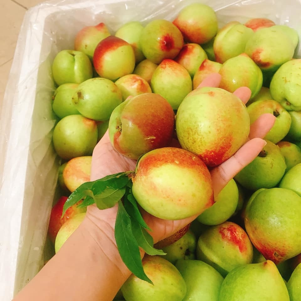 Đào trơn xuất hiện ở hầu khắp các khu chợ từ tháng 6 dương lịch. Loại đào bán chạy hơn cả vì nhìn đẹp mắt, vỏ mỏng, thịt giòn, ăn cả vỏ cũng được vì không có nhiều lông như các loại đào khác.