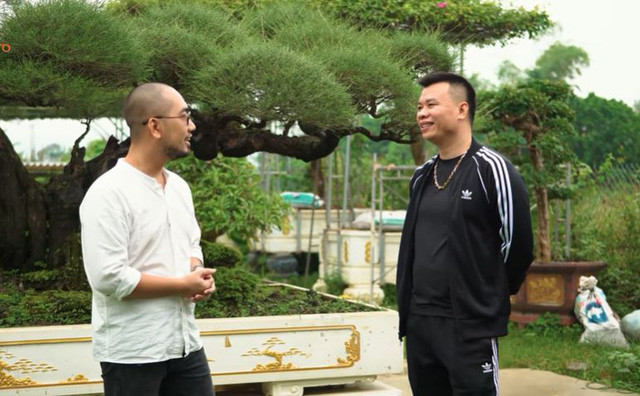 Trong vườn có một cây phi lao cổ tạo dáng bonsai hiếm có. Nguồn ảnh; chụp màn hình Nhato