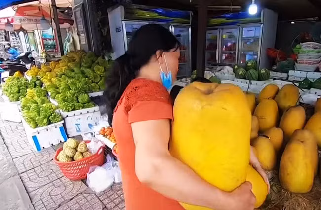 Theo giới thiệu của người bán, trái kỳ đà còn có tên gọi khác là bưởi thơm. Quả nhỏ nhất cũng to bằng nửa thân người, hình dài như cái chuông, vỏ màu vàng tươi bắt mắt. Ảnh: @phandiemvlog.
