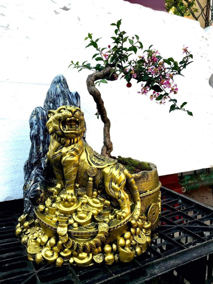 Bonsai cõng hổ đặc biệt cho Tết Nhâm Dần 2022 cũng được nhiều khách hàng quan tâm. Ảnh: Facebook
