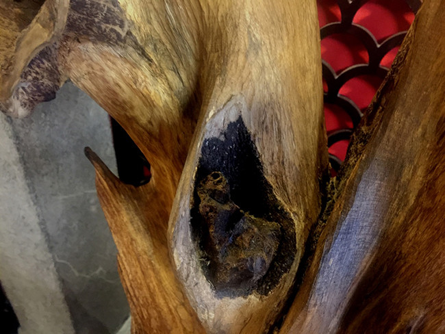 Trầm hương là một loại gỗ quý hiếm mang lại nhiều giá trị về kinh tế. Ảnh: Dân Việt