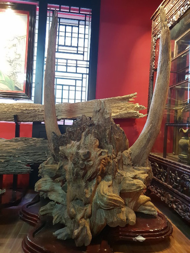 Vị đại gia này cho biết, anh đã phải mất hơn 20 năm sưu tầm cũng như tốn không biết bao nhiêu tiền để sở hữu khối trầm hương này. Ảnh: Dân Việt.