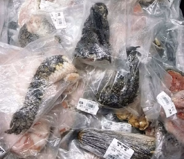 Một điều lạ lùng khác thu hút khách du lịch đến Trung Quốc là ác hệ thống trung tâm mua sắm lớn bày bán công khai thịt bò sát sấy khô. Đó có thể là nguyên con hoặc từng bộ phận được cắt rời. Ảnh: Getty