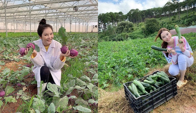 Vào năm 2020, Lý Nhã Kỳ cải tạo một mảnh đất lớn ở Đà Lạt để làm nông trại. Tại đây, cô cho trồng trọt rau củ quả và các loại hoa để phục vụ cho nhu cầu ăn uống của gia đình cũng như gửi tặng bạn bè.