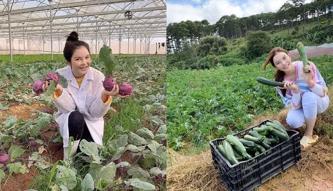 Vào năm 2020, Lý Nhã Kỳ cải tạo một mảnh đất lớn ở Đà Lạt để làm nông trại. Tại đây, cô cho trồng trọt rau củ quả và các loại hoa để phục vụ cho nhu cầu ăn uống của gia đình cũng như gửi tặng bạn bè.