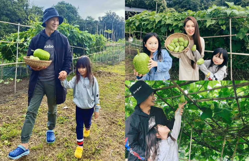 Tại đây, Lý Hải - Minh Hà trồng nhiều cây xanh, rau củ quả và nuôi thêm gia súc, gia cầm.