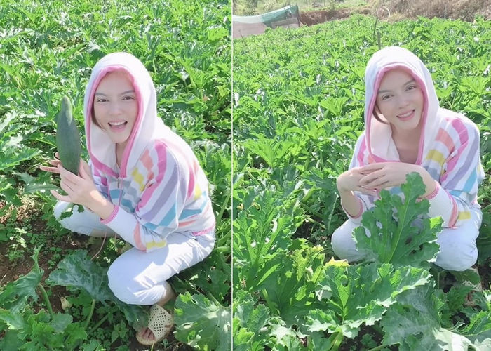 Nông trại được xem như một nơi nghỉ dưỡng lý tưởng của Lý Nhã Kỳ vì công việc làm vườn giúp cô cân bằng được tinh thần và giải stress hiệu quả.