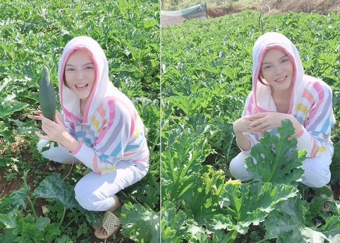 Nông trại được xem như một nơi nghỉ dưỡng lý tưởng của Lý Nhã Kỳ vì công việc làm vườn giúp cô cân bằng được tinh thần và giải stress hiệu quả.