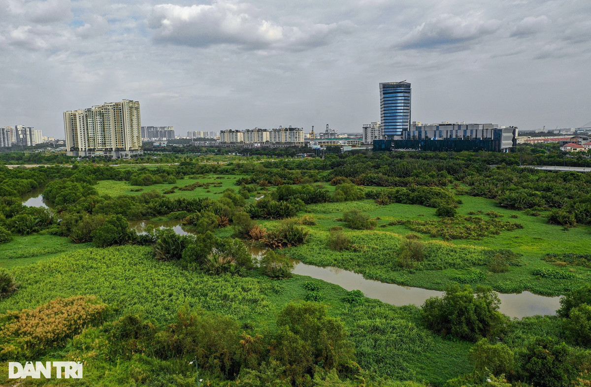 Đối lập với những dự án nhà ở hạng sang đang trong quá trình xây dựng, phát triển thì khu tái định cư Bình Khánh (nằm phía Bắc khu đô thị Thủ Thiêm) được hoàn thành từ năm 2015, nhưng vẫn trong tình trạng đìu hiu, không người ở. Dự án có quy mô 38,4 ha, tương đương khoảng 5.000 căn hộ là một phần trong chương trình 12.500 căn hộ tái định cư của khu đô thị mới Thủ Thiêm.