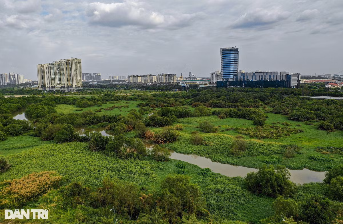 Đối lập với những dự án nhà ở hạng sang đang trong quá trình xây dựng, phát triển thì khu tái định cư Bình Khánh (nằm phía Bắc khu đô thị Thủ Thiêm) được hoàn thành từ năm 2015, nhưng vẫn trong tình trạng đìu hiu, không người ở. Dự án có quy mô 38,4 ha, tương đương khoảng 5.000 căn hộ là một phần trong chương trình 12.500 căn hộ tái định cư của khu đô thị mới Thủ Thiêm.