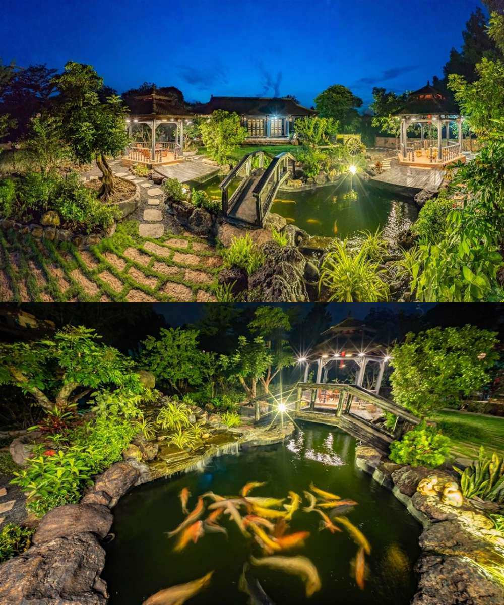 Ngoài ra, nam diễn viên còn đầu tư một hồ cá Koi hoành tráng với chi phí khoảng 5 tỷ đồng trong khuôn viên căn nhà. Ảnh: Internet