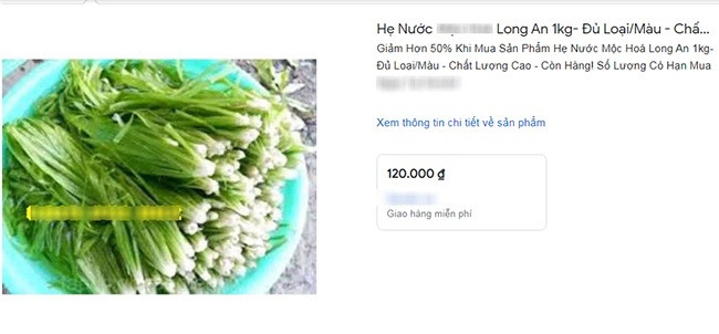 Ngày nay, rau hẹ nước trở thành đặc sản có mặt trong nhiều quán ăn ở các tỉnh thành. Hẹ nước tươi có giá dao động từ 120.000 - 150.000 đồng/kg, thậm chí có nơi rao bán đến 270.000 đồng/kg. Ảnh chụp màn hình
