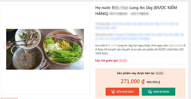 Do giá ngày càng đắt nên nhiều người trồng hẹ nước bán cho thương lái và các nhà hàng. Ảnh chụp màn hình