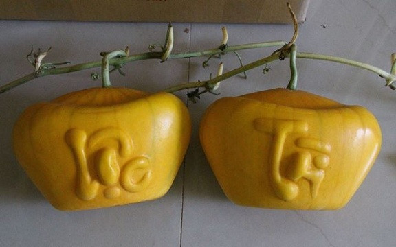 Không chỉ bưởi, dưa hấu khắc tỉa các hình dáng độc lạ như thỏi vàng, hình ông tài lộc, chữ thư pháp: Phúc, Lộc, Thọ...cũng được nhiều khách hàng quan tâm trong dịp Tết. Ảnh: Vietnamnet