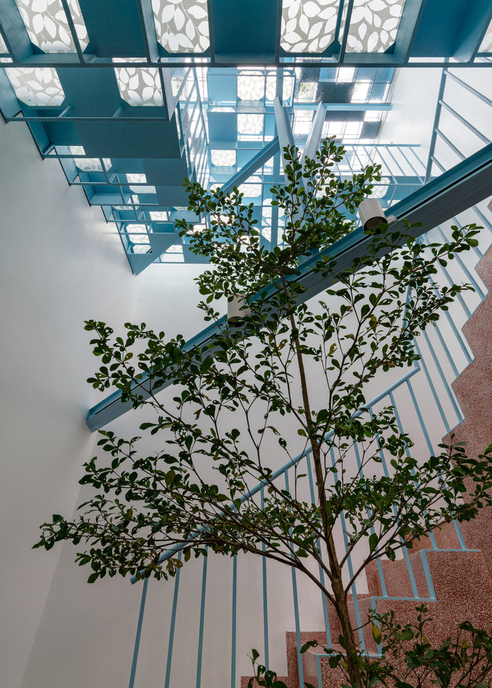 “Tán cây” là những khoảng trống cho không gian sinh hoạt mở và “nhà” là các phòng riêng tư đặt trên nhánh.