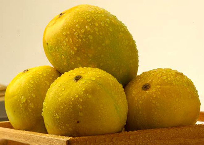 Một hộp xoài Kesar (9-12 quả) có giá khoảng 30 USD (hơn 600.000 đồng). Ảnh: Getty.