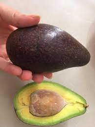 Theo đó, nếu quả bơ có cuống màu xanh nhưng thân lại mềm thì chứng tỏ nó đã được ngâm qua hóa chất để chín nhanh. Hơn nữa, quả bơ non được ngâm hóa chất thì cuống sẽ to. Bơ chín tự nhiên có phần vỏ căng bóng nhưng vẫn hơi sần sùi, cầm chắc tay.