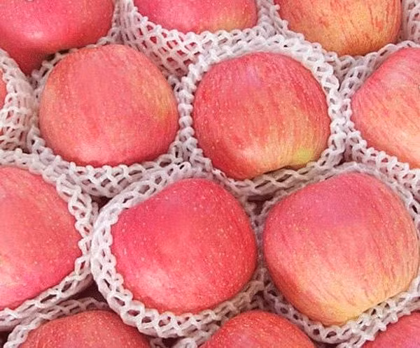 Còn táo Trung Quốc, kích thước quả to và tròn đều, lớp vỏ có màu hồng phấn cùng với phủ lớp sáp trắng bên ngoài vỏ. Ảnh: Internet