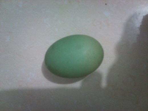 Theo PGS.TS. Nguyễn Duy Thịnh – Viện Công nghệ Sinh học và Thực phẩm (ĐH Bách Khoa Hà Nội), các loại trứng gà bình thường cũng chứa giá trị dinh dưỡng rất lớn như phốt pho, kẽm, kali, canxi...không riêng gì trứng gà vỏ xanh. Ảnh: Facebook