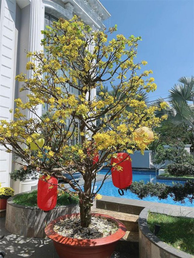 Khuôn viên căn biệt thự của vợ chồng Bảo Thy còn có hồ bơi riêng rất rộng. Ảnh: FBNV