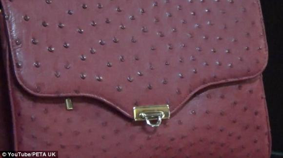 Một chiếc túi xách được làm từ da đà điểu đã hoàn thiện. Ảnh: Peta