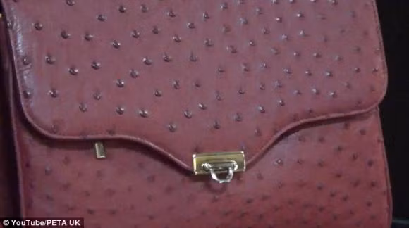Một chiếc túi xách được làm từ da đà điểu đã hoàn thiện. Ảnh: Peta